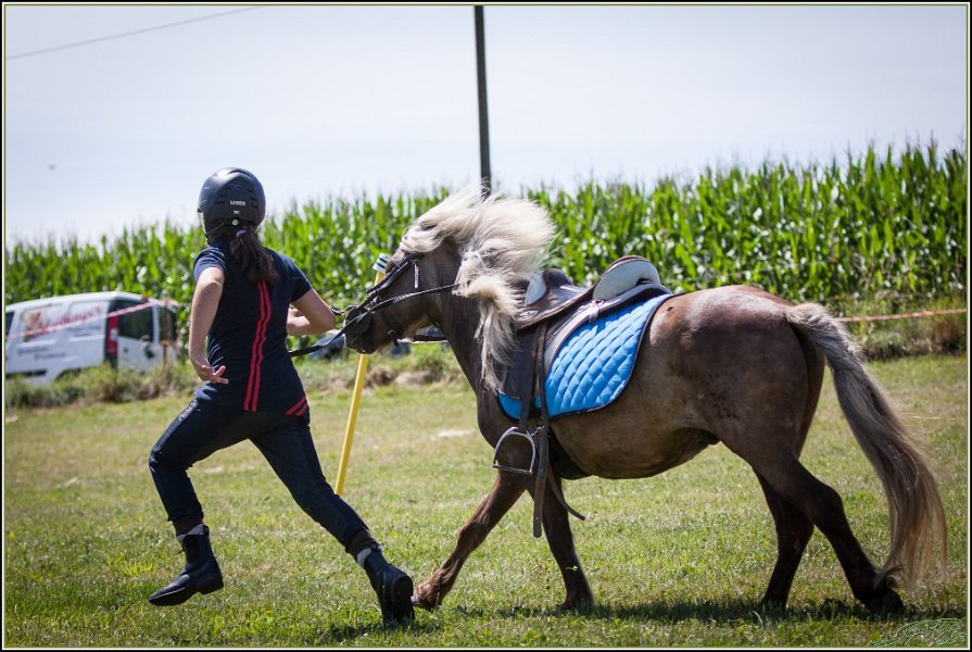 Mounted Games 241